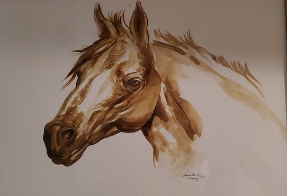 Profile of a horse in sepia ink