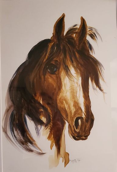 Profile of a dark brown horse